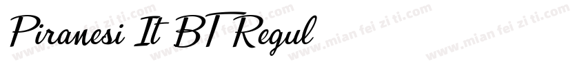 Piranesi It BT Regul字体转换